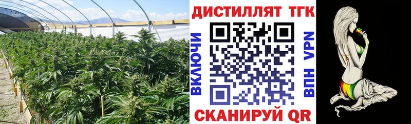 OMG зеркало  Высоцк  Дистиллят ТГК THC oil  где найти  