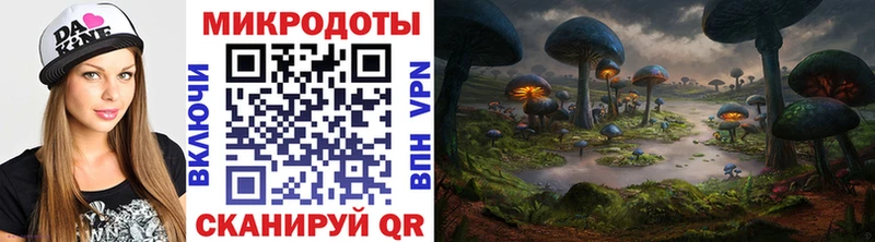 Псилоцибиновые грибы Cubensis  Высоцк 